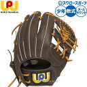 \4時間限定!4日(金)全品P10倍/ 野球 ワールドペガサス エディット 軟式グローブ グラブ 軟式用 オールラウンド用 少年用 ジュニア用 子供用 WGJ5...