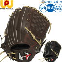 野球 ワールドペガサス グランドデビル 軟式グローブ グラブ 軟式用 オールラウンド用 少年用 ジュニア用 子供用 WGJ5FGDS worldpegasus ...