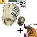 【湯もみ型付け込み/代引、後払い不可 】野球 ワールドペガサス グランドペガサストップエボルブ 硬式グローブ グラブ 硬式用 高校野球対応 外野手用 中学生硬式用 女子硬式用 WGK5FTE8L worldpegasus 野球用品 スワロースポーツ