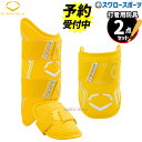 【予約商品】8月以降発送予定 野球 エボシールド 限定 防具 PRO SRZ 2.0 エルボーガード レッグガード セット 日本限定色 WB5777701L-WB5777801 Evoshield 野球用品 スワロースポーツ