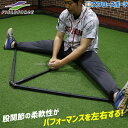 \25日(金)全品ポイント5倍/ 野球 フィールドフォース トレーニング 動的ストレッチャー FDS-77KKS Fieldforce 野球用品 スワロースポーツ