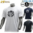 野球 ジームス ウェア ウエア Tシャツ 半袖 夏用 練習着 涼しい メンズ レディース ユニセックス スワロー限定 大人用 一般用 ZW25-03C Zeem...