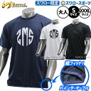 野球 ジームス ウェア ウエア Tシャツ 夏用 練習着 涼しい メンズ レディース ユニセックス スワロー限定 バインダー付き 大人用 一般用 ZW25-04D...