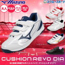 \4日・5日全品ポイント10倍/ 野球 ミズノ トレーニングシューズ アップシューズ トレシュー マジックテープ ベルト ベルクロ式 クッションレボダイア トレーナー 大人用 一般用 11GT2525 MIZUNO 野球用品スワロースポーツ
