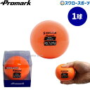 \24日・25日全品ポイント5倍/ 野球 プロマーク パワースイングボール 1球入り トレーニング 425g HTB-60SP Promark 野球用品スワロースポーツ