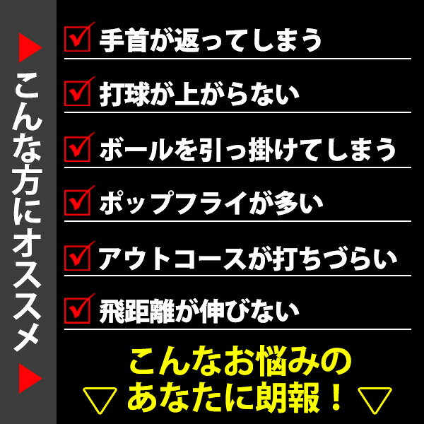 野球 ザナックス トレーニングバット 練習用 木製バット バット 大人用 一般用 BTB...