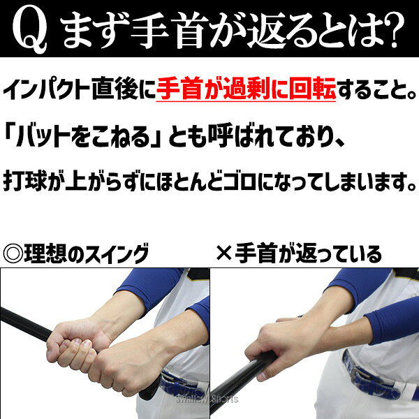 野球 ザナックス トレーニングバット 練習用 木製バット バット 大人用 一般用 BTB...