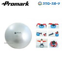 プロマーク バランスボール（レベル4） TPT0275 設備・備品 Promark 野球部 トレーニング 野球用品 スワロースポーツ