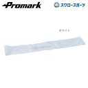 野球 プロマーク トレーニング リング バンド レベル0 TPT0480 巣ごもり すごもり おうち時間 グッズ ステイホーム 設備・備品 Promark 野球...