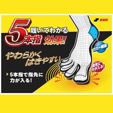 SSK エスエスケイ 野球 ソックス 5本指 2足組 27-29cm YA1629 ウエア ウェア ssk 靴下 野球部 クリスマスのプレゼント用にも 野球用品 スワロースポーツ