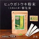 【 国産ヒュウガトウキ】【九州産 大和山人参】ヒュウガトウキ 個包装タイプ1g 31包 3個 血圧 アレルギー 肝機能 ストレス 免疫ギフト 母の日 敬老の日 お中元 お歳暮【ひなた食品】