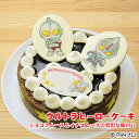 【あす楽】【誕生日ケーキ】ウルトラヒーローケーキ〜ショコラムースとイチゴムースの贅沢な味わい〜【好きなヒーローが選べる】【お誕生日プレート＆ローソク＆名前入れ用転写シートセット】【ウルトラマン】【バースデーケーキ】【キャラクターケーキ】