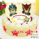 【あす楽】【誕生日ケーキ】ウルトラヒーローケーキ苺（いちご）スペシャル〜濃厚生クリームと二種類のイチゴの贅沢ケーキ〜【好きなヒーローが選べる】【お誕生日プレート＆ローソク＆名前入れ用転写シートセット】【ウルトラマン】【バースデーケーキ】