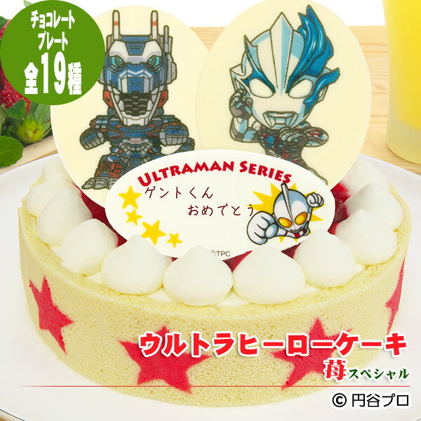 【あす楽】ウルトラヒーローケーキ　苺（いちご）スペシャル〜濃厚生クリームと二種類のイチゴの贅沢ケーキ〜【誕生日ケーキ】【選べるヒーローチョコプレート】【お誕生日プレート＆ローソク＆名前入れ用転写シートつき】【ウルトラマン・トリガー】【スイーツ】