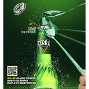 テラ スプーン栓抜きプレゼント中♪「正規輸入品」TERRA テラビール 330ml ×24本 HITEJINRO 韓国ビール韓国酒 ビール オーストラリア産..