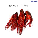 ザリガニ 食用 小龍蝦 約1kg ボイルザリガニ 28~30尾 麻辣ザリガニ マーラーシャオロンシア