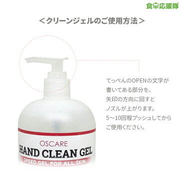 消毒ジェル 大容量 500ml×4本 ハンドクリーンジェル 日本版 アルコールジェル 手指消毒 アルコール62％ 除菌ジェル Hand clean gel 16.9 fl.oz. Alchol 62%