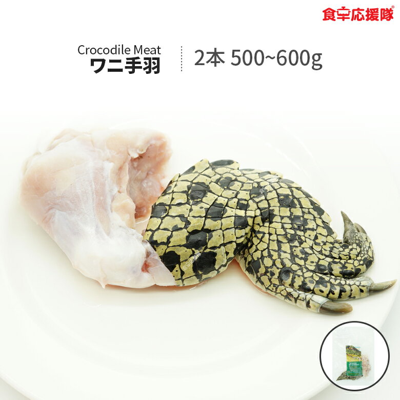 ★ ★決算セール！！ ワニ肉 2本 ワニ手羽 合計500g~600g クロコダイルミート オーストラリア産