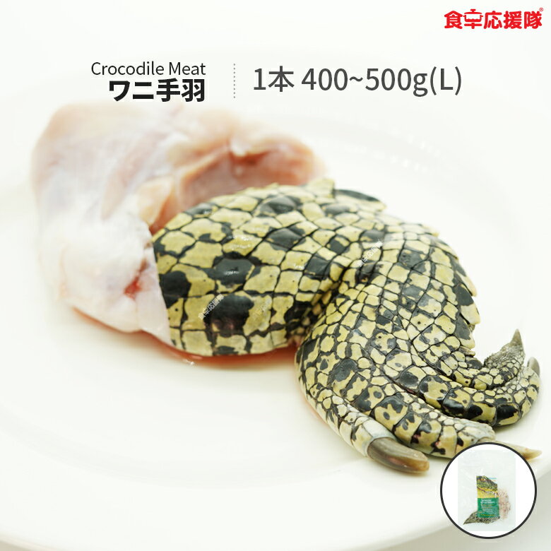 ワニ肉 ワニ手羽 1本 Lサイズ 400~500g クロコダイルミート オーストラリア産