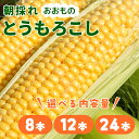 【冷蔵発送! 8月13日以降お届け分~】朝採れ限定!山梨県産 おおもの とうもろこし 八ヶ岳 清里高原 ジョイ菜農園 甘い スイートコーン 高糖度 大粒でふっくら おすそ分け ギフト お礼の品