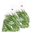 【スーパーSALE限定特価!】八ヶ岳 青唐辛子 生とうがらし 1kg(500g×2袋) / 国産 山梨県産 長野県産 JOYNA農園 激辛品種 味噌作り・薬味・漬物に