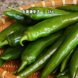 青唐辛子 1kg 生唐辛子 韓国産 唐辛子 激辛唐辛子 ※季節により辛さにバラツキがあります。