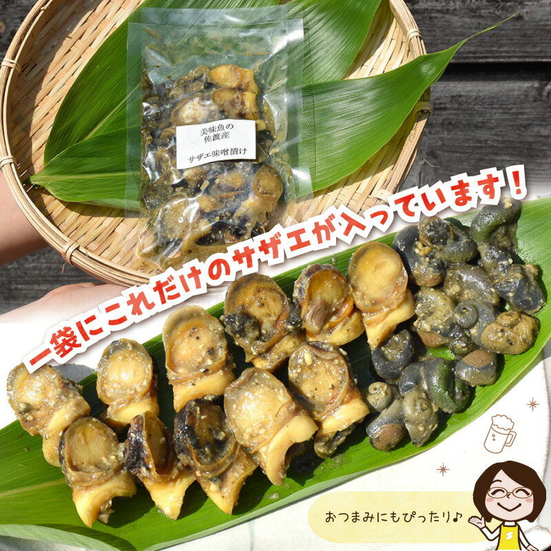 佐渡産 サザエ味噌漬け 90～100g 美味魚 今井イサ子 イサコ 佐渡特産品 姫津漁港 新潟県 おつまみ柔らかい 簡単 食べきりさざえ サザエ 貝ギフト 誕生日 父の日 母の日 御中元 御歳暮【クール冷凍便で発送】 3