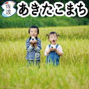 【在庫限り】令和6年産 佐渡産 あきたこまち 2kg (白米/玄米/無洗米/7分づき) ギフトにも◎【普通便で発送】【全国一律 送料無料(沖縄県を除く)】