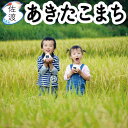 あきたこまち 令和5年産 佐渡産あきたこまち 5kg(白米/玄米/無洗米/7分づき)ギフト 贈り物【普通便(常温)発送】【全国一律送料無料（沖縄県を除く）】