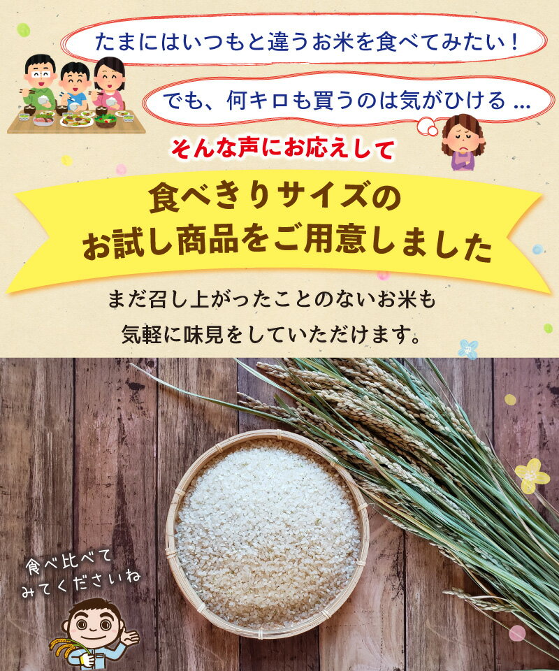 令和3年産 選べる佐渡のお米セット2kg×2品種（白米）コシヒカリ 新之助 ミルキークイーンにじのきらめき こしいぶきちほみのり つきあかりお試し 味見 味比べ 食べきりお米セット お米【全国一律送料無料(沖縄県を除く)】【普通便で発送】