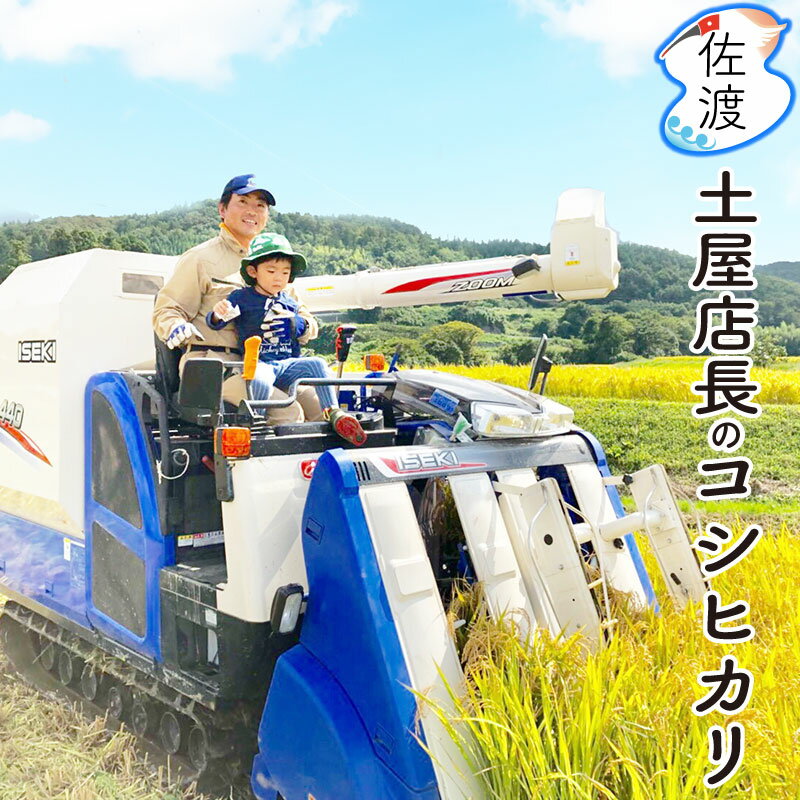 令和5年産 佐渡産コシヒカリ20kg（白米/玄米/無洗米/7分づき）大野山麓で育てた特別栽培米農薬化学肥料5割減世界農業遺産 佐渡 新潟米 ..