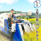 令和5年産 佐渡産コシヒカリ5kg（白米/玄米/無洗米/7分づき）大野山麓で育てた特別栽培米農薬化学肥料5割減世界農業遺産 佐渡 新潟米 お米 ギフト 贈物 【普通便で発送】【全国一律送料無料(沖縄県除く)】