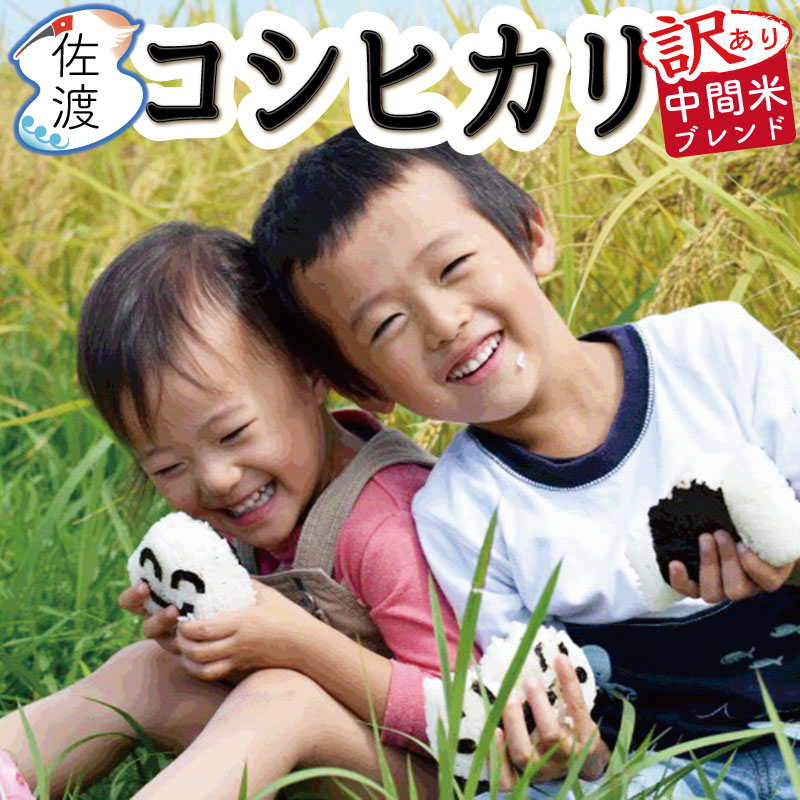 【限定特価！】【通常3,980円→3,490円】【訳あり】令和3年産 佐渡産コシヒカリ10kg（白米） 訳あり中間米コシヒカリブレンド特別栽培米!!農薬・化学肥料5割減 家庭用 自宅用【普通便で発送】【全国一律送料無料(沖縄県を除く)】