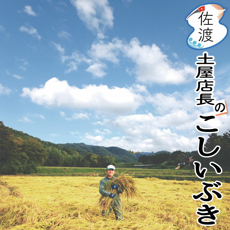 令和5年産 佐渡産こしいぶき 10kg(白