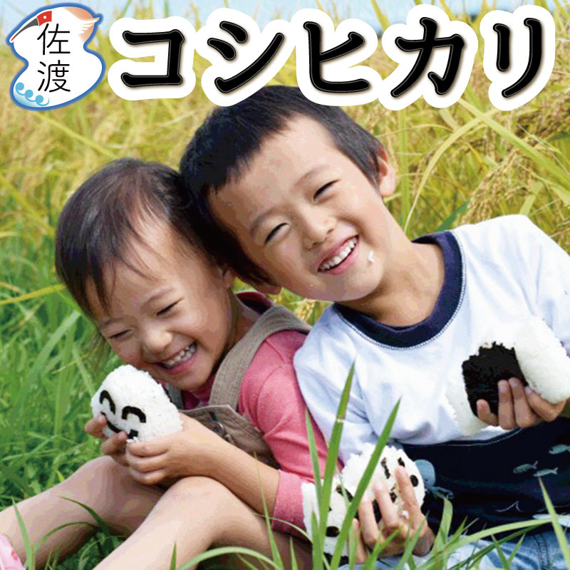 令和5年産 佐渡産コシヒカリ5kg（白米/玄米/無洗米/7分づき）特別栽培米 農薬・化学肥料5割減誕生日 ギフト 母の日 御中元新潟県【普通便(常温)発送】【全国一律送料無料（沖縄県を除く）】