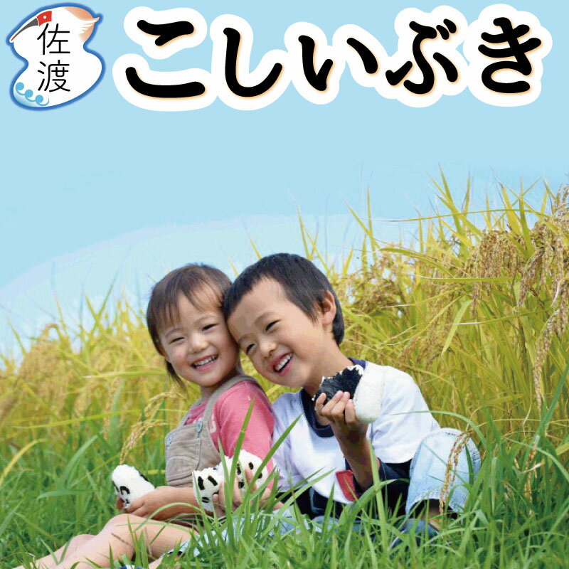 令和2年産 佐渡産こしいぶき 25kg（白米/玄米/無洗米/7分づき）慣行栽培 新潟県 カレーやチャーハンに合うお米【普通便(常温)発送】【全国一律送料無料（沖縄県を除く）】