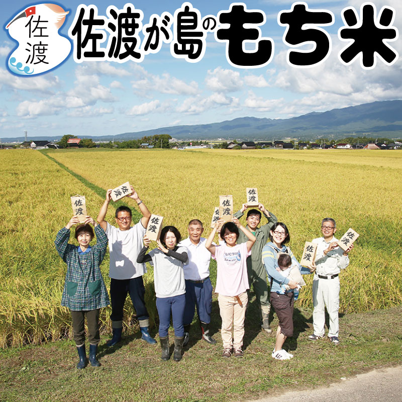 令和7年産佐渡産こがねもち5kg新...