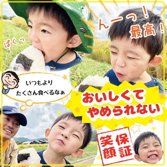 令和3年産 佐渡産ちほみのり15kg(白米/玄米/無洗米/7分づき)大野山麓で栽培した特別栽培米 農薬化学肥料5割減朝ごはんにオススメ！あっさり【普通便で発送】【全国一律送料無料（沖縄県を除く）】