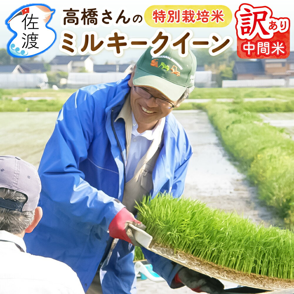 【訳あり】【新米】令和7年産 佐渡産ミルキークイーン 中間米 10kg（白米） 新潟県産米 モチモチ、ピカピカで甘味のある人気米自宅用 ..