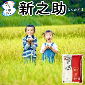 令和5年産 佐渡産 新之助10kg（白米/玄米/無洗米/7分づき）慣行栽培もっちり しっかり 冷めても美味しい 新潟 ブランド米ギフト 御中元 父の日 【普通便発送】【全国一律送料無料(沖縄県不可)】