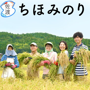 令和3年産 佐渡産ちほみのり15kg(白米/玄米/無洗米/7分づき)大野山麓で栽培した特別栽培米 農薬化学肥料5割減朝ごはんにオススメ！あっさり【普通便で発送】【全国一律送料無料（沖縄県を除く）】