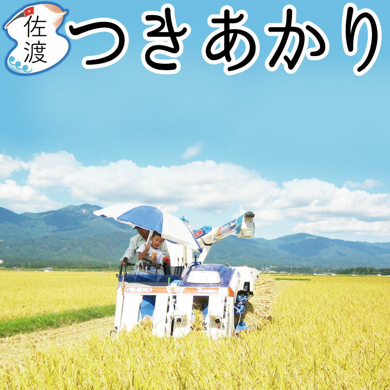 ［在庫限り］令和5年産 佐渡産つきあかり5kg（白米/玄米/無洗米/7分）大野山麓のお米 慣行栽培 大粒 良食味 新潟 佐渡ギフト 誕生日 御中元 御歳暮 父の日