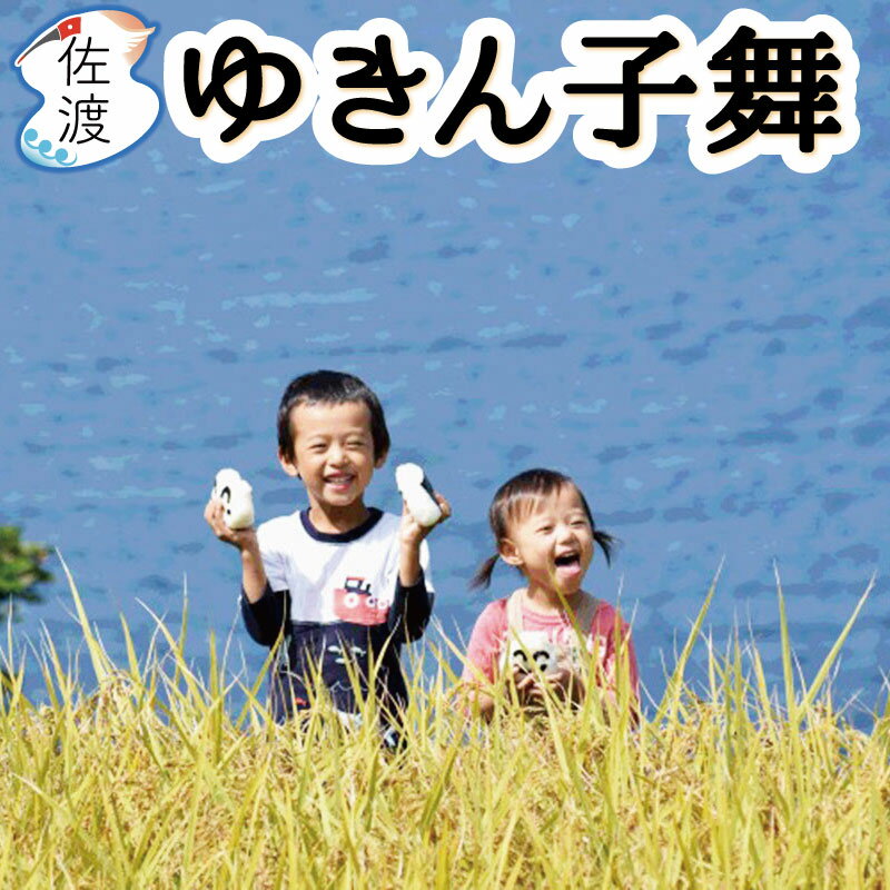 ［新米入荷］令和6年産 佐渡産ゆきん子舞20kg(白米/玄米/無洗米/7分)あっさり しっかり佐渡 慣行栽培 炒飯高橋さんのおいしいお米 雪国で育った新潟の品種【普通便】【全国一律送料無料(沖縄県を除く)】のサムネイル