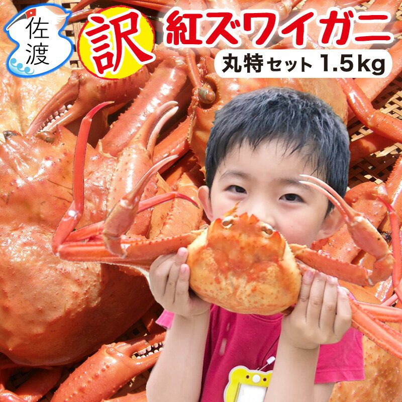 【予約】佐渡産紅ズワイガニ 丸特セット【訳あり】1.5kg(大～小サイズ) 獲って茹でてすぐ発送 ボイル済み カニ 蟹 かに 家庭用 自宅用【送料無料(一部地域を除きます)】【クール冷蔵便・冷凍便】