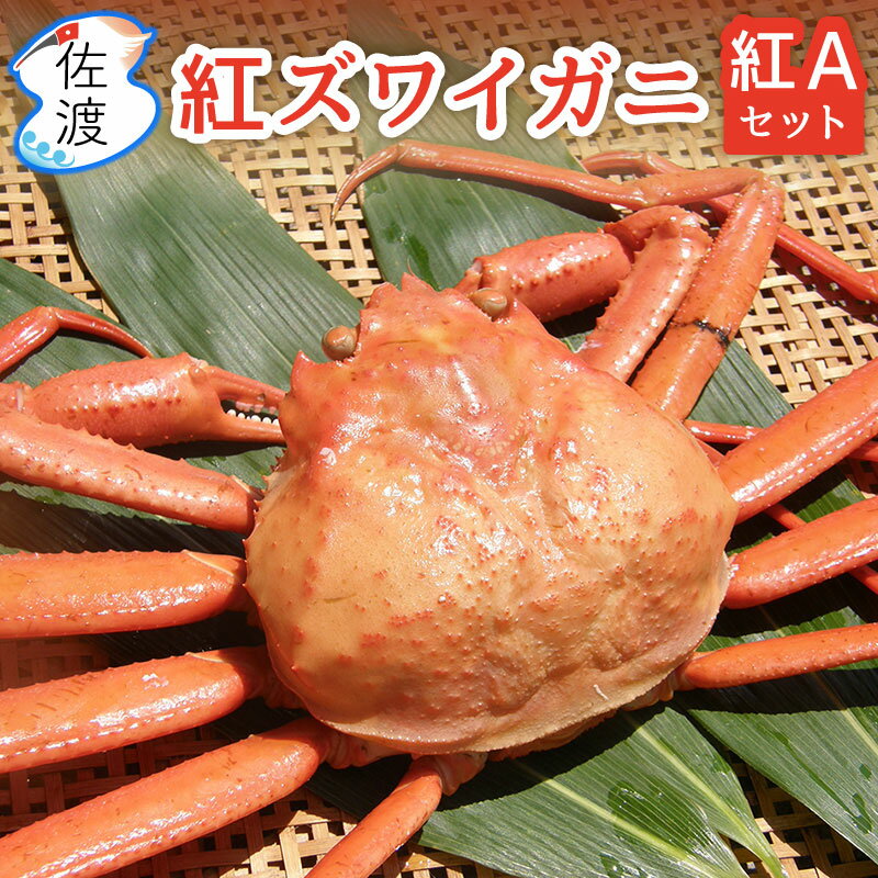 ［予約］佐渡産紅ズワイガニ 紅Aセット 2kg(5匹)～6kg(15匹) 1匹あたり400g～500g ボイル済 贈答向け 紅ずわい カニ 蟹 かに ギフト 誕生日 御歳暮【送料無料(一部地域を除く)】【クール冷蔵便・冷凍便】