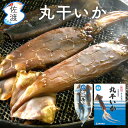※在庫限り※ 佐渡産 丸干しいか 袋入り約100g(3〜4本)、箱入り500g イカの旨み 凝縮 鮮度 日本海 佐渡 朝獲れ 真イカ 佐渡海洋深層水 贈答 ギフ...