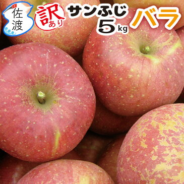 【ポイント2倍 2/28 迄】【訳あり】佐渡産りんご『サンふじ』 5kg バラ入り(約12〜22玉前後)完熟収獲だから、とっても甘くて美味しい完熟 自宅用 お菓子づくり ジュース用 フルーツ 【全国一律送料無料(沖縄県除く)】【普通便(常温)で発送】