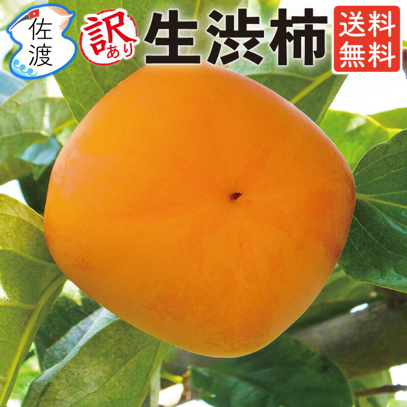 【割引クーポン】【訳あり】佐渡産 生渋柿 4.5kg(2L/ L/M/Sサイズ)あんぽ柿 干し柿など加工用八珍柿(刀根早生/平核無柿) 種なし 枝なし 生柿 果物 フルーツ かき ご自宅用【普通便で発送】【送料無料(一部地域を除く)】のサムネイル