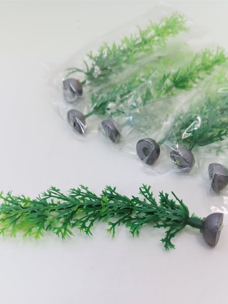 水草 金魚用