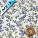 【サンドウ限定復刻色】リバティプリント タナローン【ラミネート加工】(Moon moth グレー)ムーン・モス【8883225・ZE】(3)